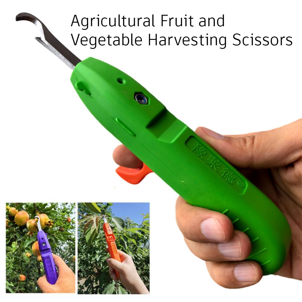 Herramienta portátil multifunc - Gardening Tools Vegetables reseña y precio