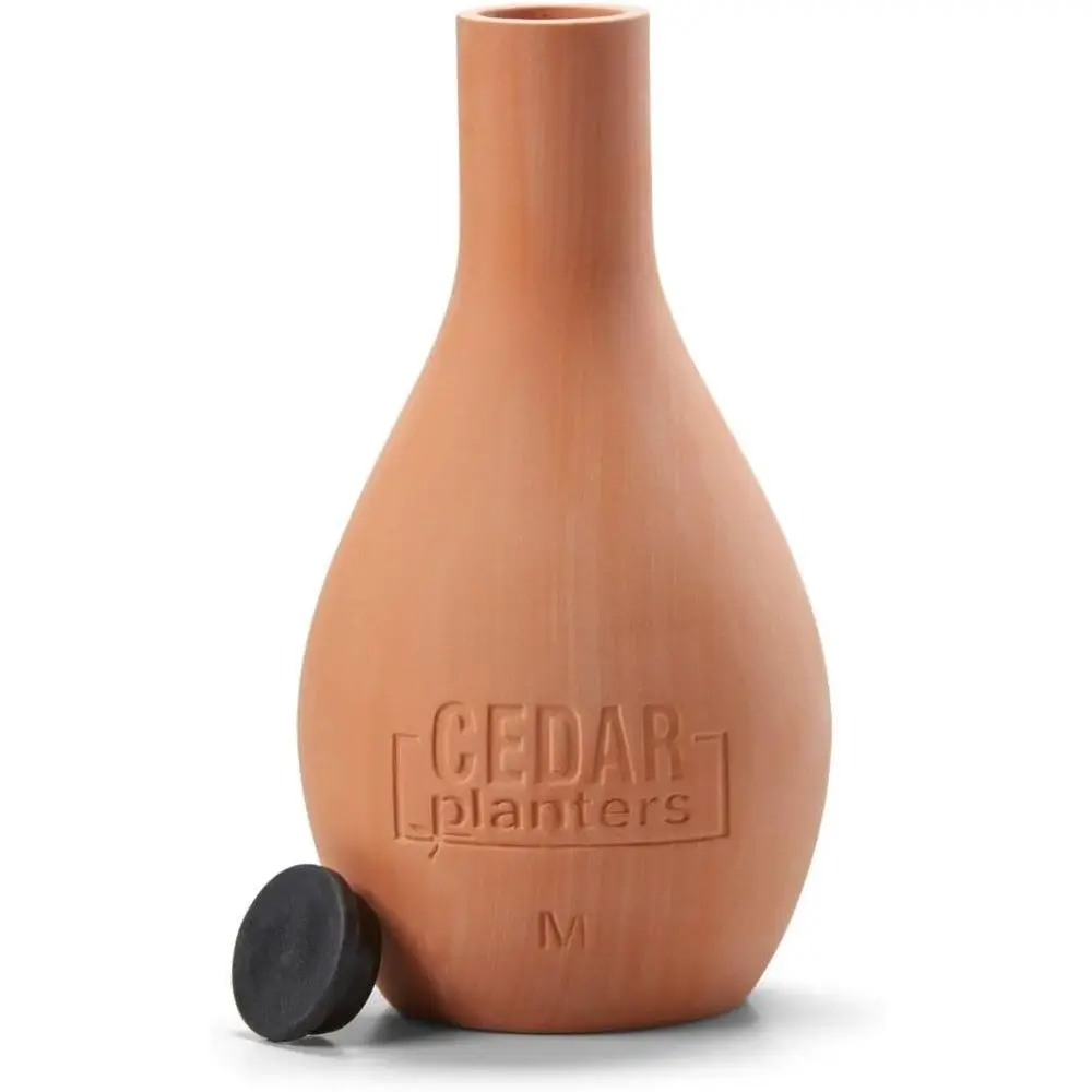 Maceta de Cerámica con Sistema - Self-Watering Planter reseña y precio